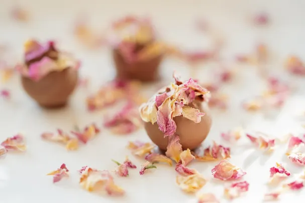 Otto Kasino Android/iOS Lietotne